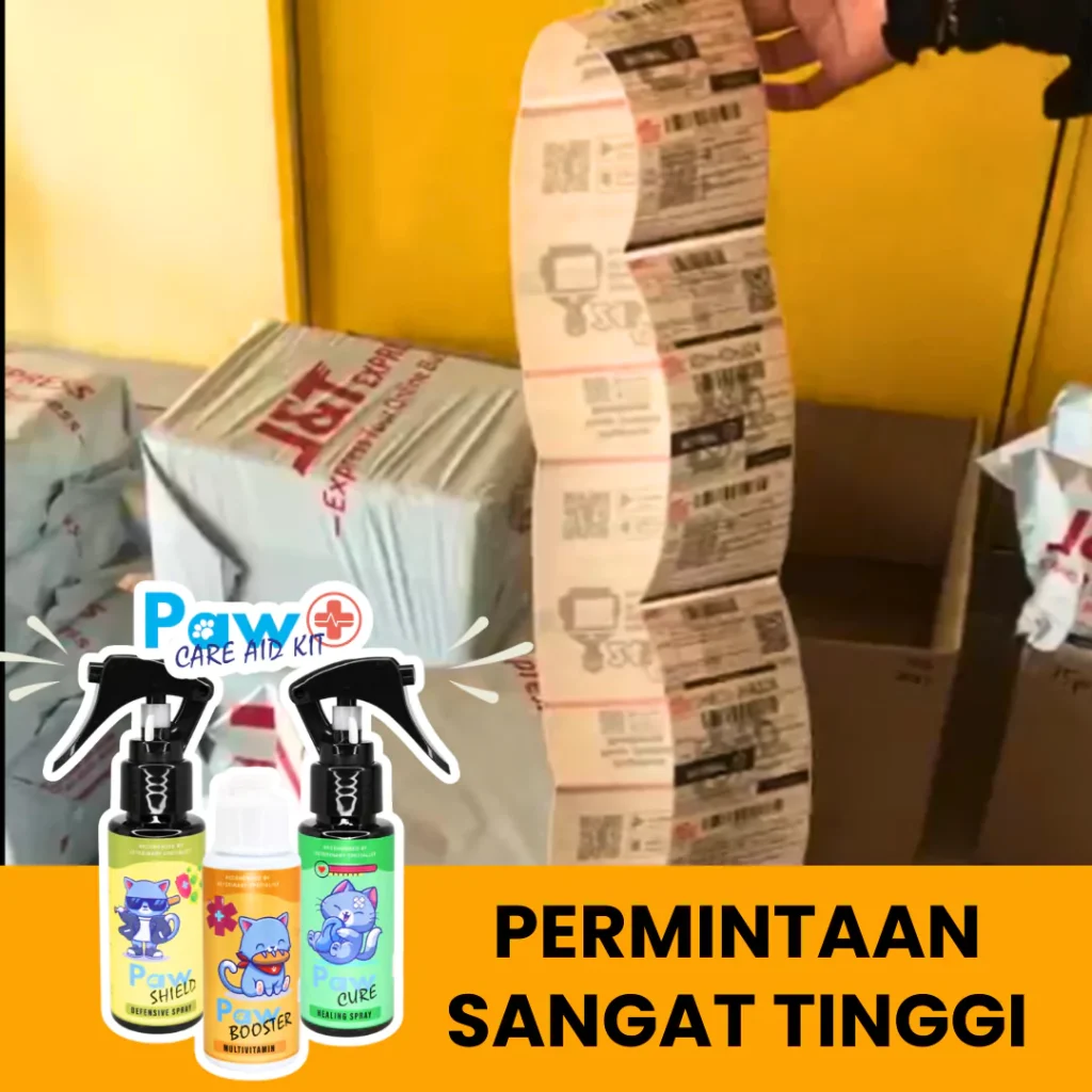 7-654870cdc1940.webp