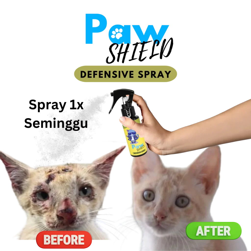 spray-3x-sehari-6549f740d0b0b.webp